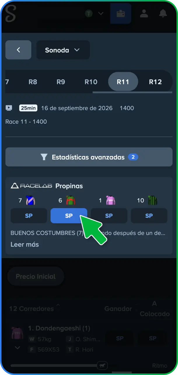 Definí el tipo de mercado e indicá el caballo seleccionado para tu pronóstico en Stake México.