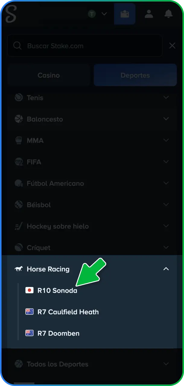 Explorá los diferentes hipódromos disponibles y elegí la carrera de caballos en la que querés participar en Stake México.