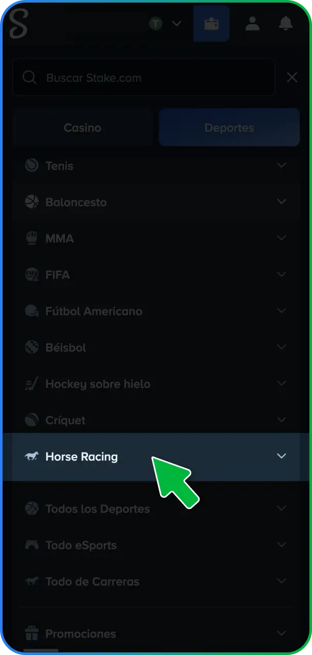 Accedé a la sección de Sportsbook dentro del menú principal de deportes en Stake México.