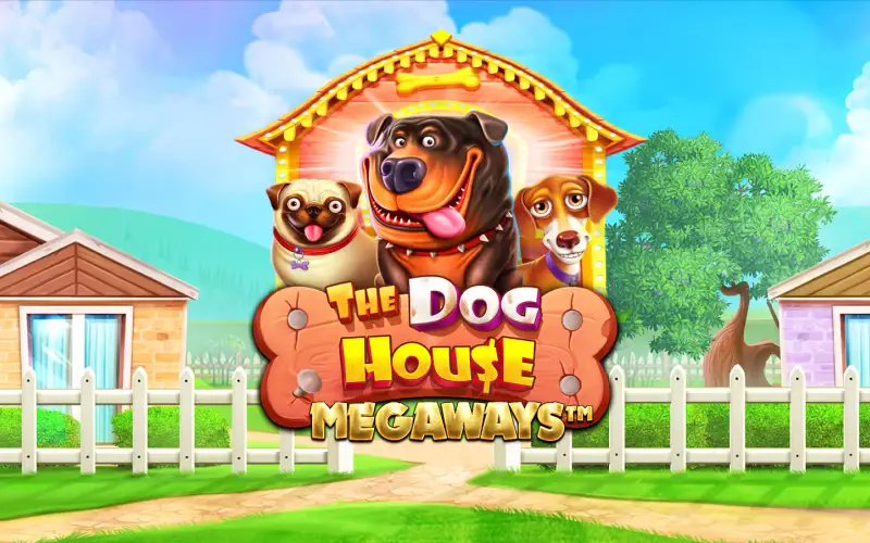 Disfrutá de comodines pegajosos y multiplicadores caninos en la icónica tragamonedas Dog House de Stake México.
